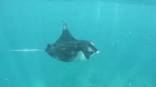 Bali 2016