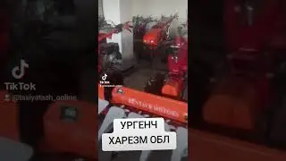 22 сентября 2024 г.