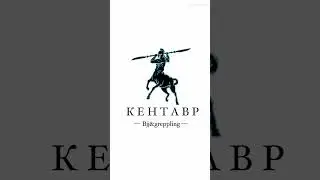 Бразильское джиу джитсу в бк «Кентавр»