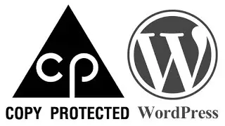 How To Protect WorPress Contents From Copy Paste