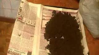 Warming the soil for seedlings in the oven