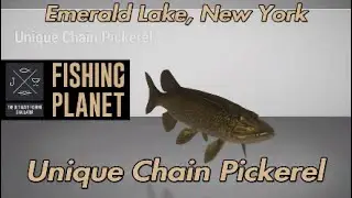 Unique Chain Pickerel Emerald Lake New York Fishing Planet Guide