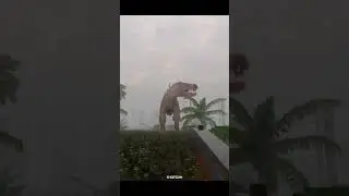 Killed By Dino💥 Teardown 
