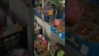 Где я покупаю шикарные цветы на свой участок ВОРОНЕЖ