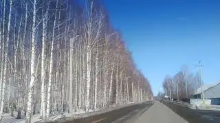 Елово, март 2021