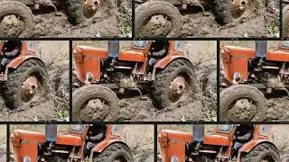 OFF-ROAD на советском тракторе Т-40 в несовсем летнюю погоду🌨️.