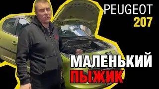 Peugeot 207: Реальный опыт эксплуатации и советы по уходу