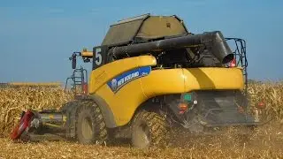 Corn Harvest 2016