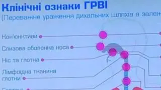 Клинические признаки ОРВИ
