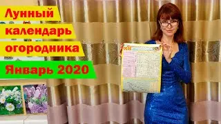 Что и когда сажать? Лунный календарь огородника на январь 2020