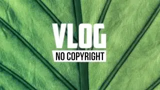 Lichu - Relaxing (Vlog No Copyright Music)