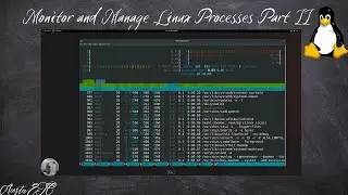 Master Linux Process Management Part II!
