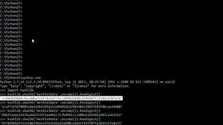 Python Hash Example