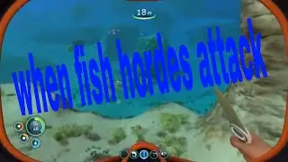 Subnautica playthough stalker hores and base building