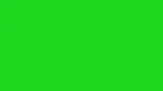 black flicker effect(green screen)