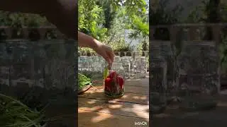 Qışlıq pomidor turşusu