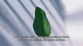 Ricoh Intellligent Devices and Always Current Technology Spanish