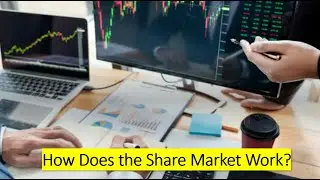 How does the share market work?