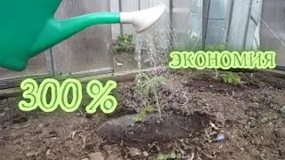 САМЫЙ ПРОСТОЙ ПОЛИВ В ТЕПЛИЦЕ