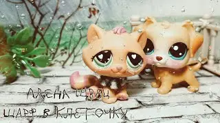 LPS: Music Video|| Шарф в клеточку|| Алёна Щвец||