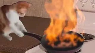 a lil mini montage