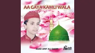 Apne Damane Shifat Mein