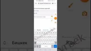 ПОХОЖАЯ АУДИТОРИЯ ТУЗЕМИЗ. LOOKALAIK таргет рекламасына