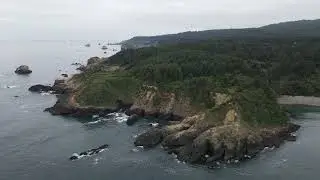Elk head to College Cove