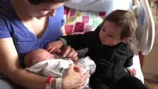 Elinor Meets Samson