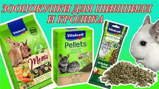 Shopping for chinchillas and ornamental rabbits. Chinchilla food.