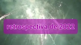 retrospectiva de 2022