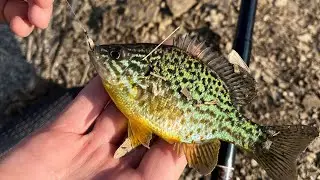 Рыбалка + тестируем «снасти здрасьте»