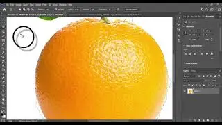 How Can Use Lasso Tool, Polygonal Lasso Tool, Magnetic Lasso Tool in Photoshop Sinhala Tutorials