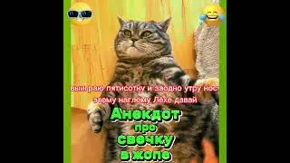 Анекдот про свечку в жопе. 