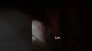 22 июля 2024 г.