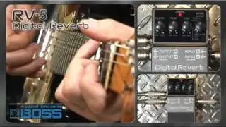 BOSS RV-5 Digital Reverb [BOSS Sound Check]