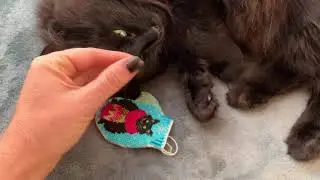 Вышиваем елочные игрушки вместе! Добро пожаловать в СП!