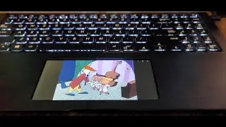 Overview of the Asus ScreenPad