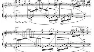 Meinders plays Schubert/Godowsky 