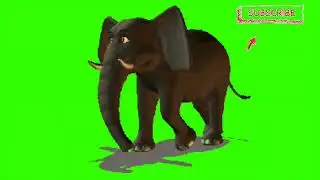 Green Screen Animation - 3D Elephant Walking (COPYRIGHT FREE)