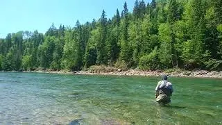 MOV 3243