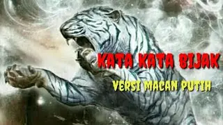Kata kata Bijak Macan putih |terbaru