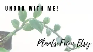 Unbox With Me! Plants From Etsy