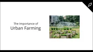The Importance of Urban Farming
