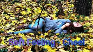 Soft Feeling - Cheel Audio Library — Music for content creators (No Copyright Music)