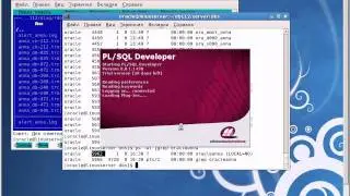 Мирончик И.Я.: "Администрирование Oracle 10g, 11g" [2]