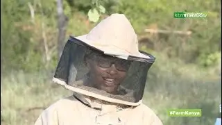 Beekeeping for Beginners from setting up a hive to harvesting