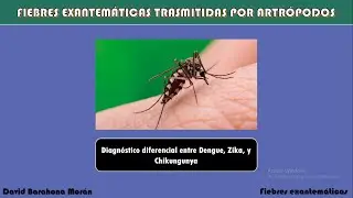 Diagnóstico Diferencial entre Dengue, Zika y Chikungunya - Dr. David Barahona