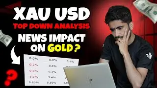 Gold Daily Analysis & Forecast || Today Best Levels For Scalping! 14 JUNE 2024 | D1 H4 H1 M30 M15 |