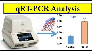 Analyzing real time PCR data